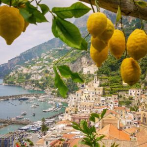 Lemons in Positano